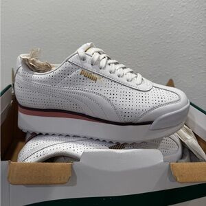 Brand new to big for me